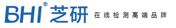 Shanghai BHI Instrument logo