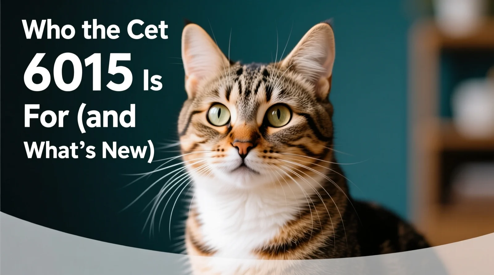 Introduction: Who the Cat 6015 Is For (and What’s New)
