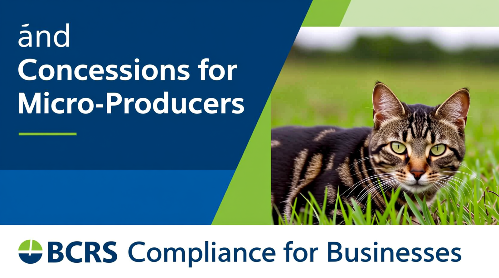 Support and Concessions for Micro-Producers (BCRS Compliance for Businesses)